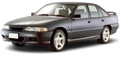HSV SV91 1991 - 1992 (VP)