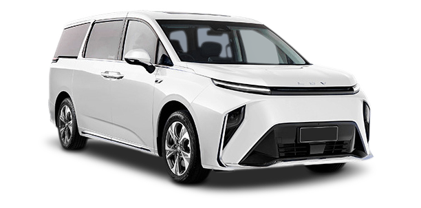 LDV MIFA 9 2022 - 2026