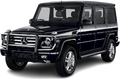Mercedes-AMG G65 2012 - 2018 (W463)