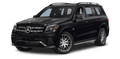 Mercedes-AMG GLS63 2019 - 2026 (X167)